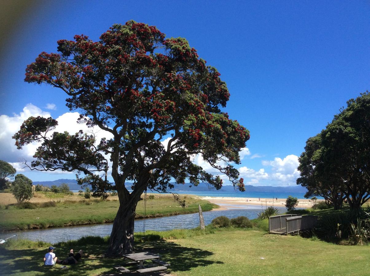 Albert Mews B And B Whitianga Dış mekan fotoğraf