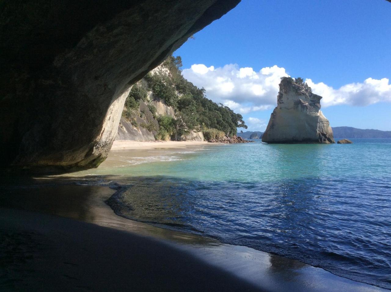 Albert Mews B And B Whitianga Dış mekan fotoğraf